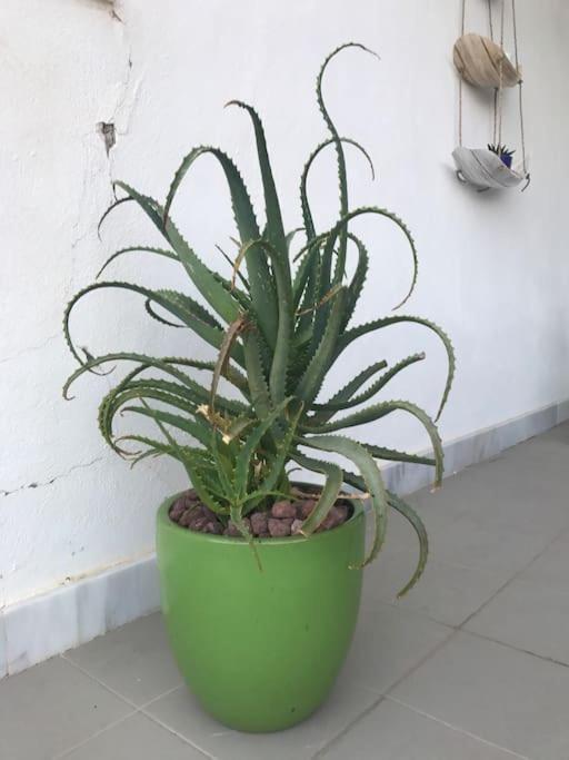 Vistas Cerro Negro Apartment Almeria Exterior photo